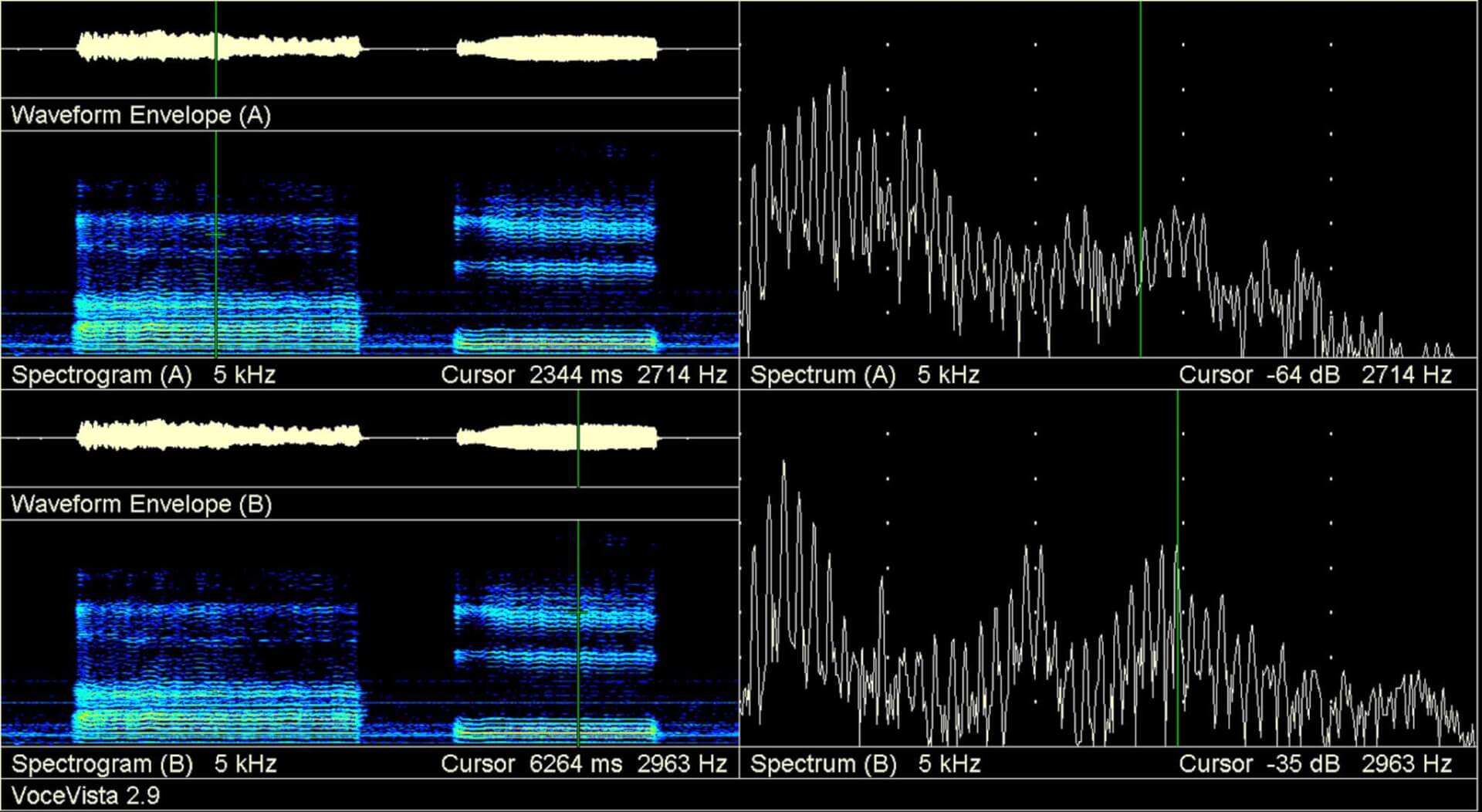 Anzeige einer Audioanalysesoftware mit Wellenformhüllkurven, Spektrogrammen und Spektrumansichten für zwei verschiedene Stimmesignale.