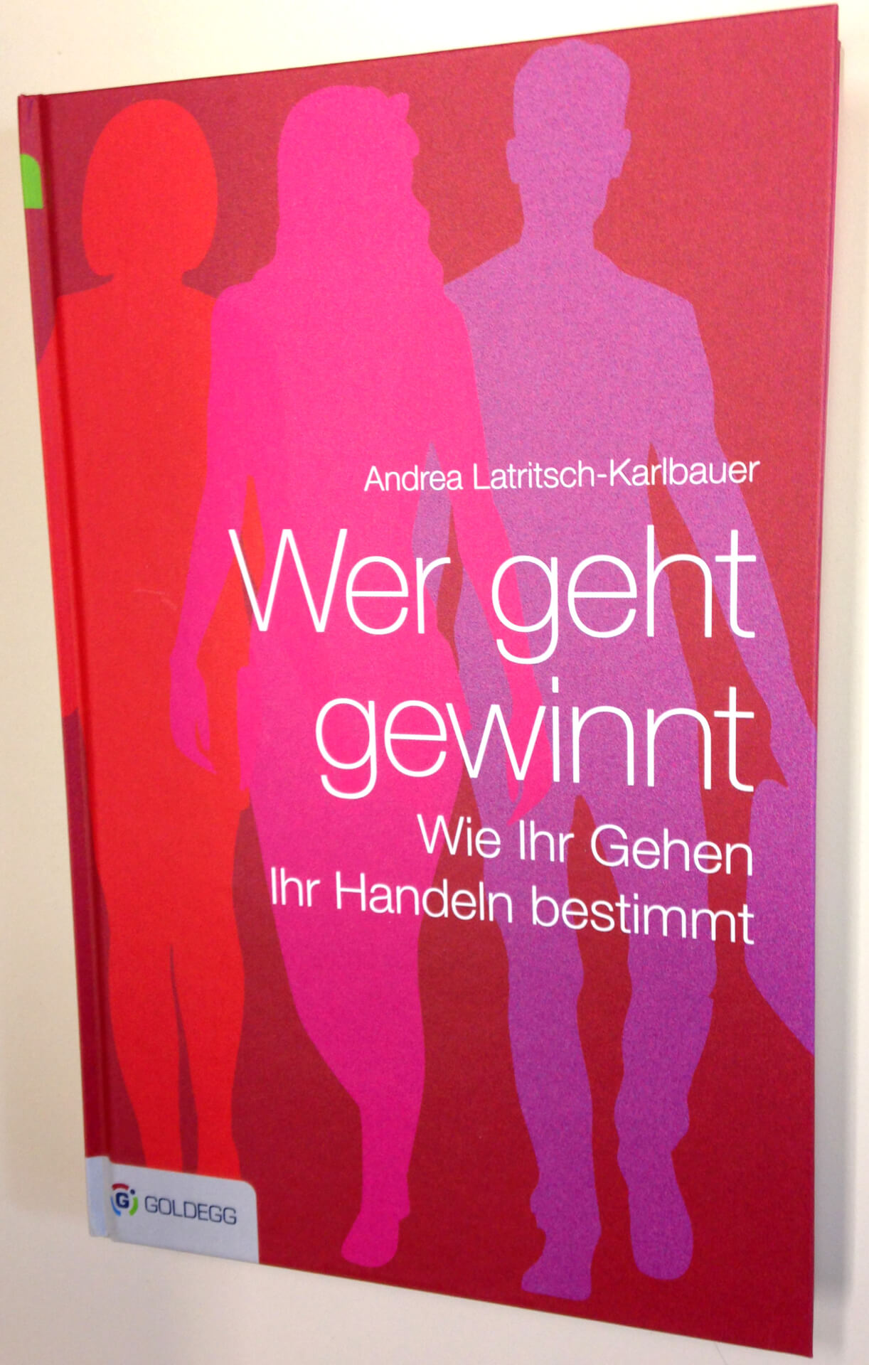Ein Buch mit dem Titel "Wer gewinnt - wie eure Stimme euer Handeln bestimmt" von Andrea Latritsch-Karlbauer mit einem Cover mit Silhouetten von