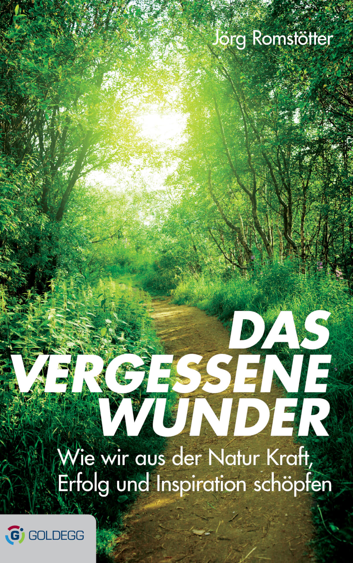 Ein Buchcover mit dem Titel "Das vergessene Wunder" von Jörg Romstötter, das einen grünen Waldweg zeigt, der von Sonnenlicht erhellt wird, auf dem man fast die Stimme von